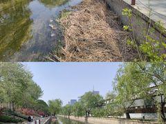 -元大都城垣遗址公园