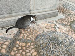 -黄连大头华烧鹅店(大良店)