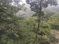 -崂山巨峰游览区