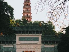 -顺峰山公园