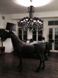 -纯色时光婚纱艺术馆WHITE