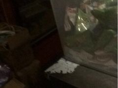 iphone_upload_pic-游人馆·桌游狼人杀团建馆(人广书城店)