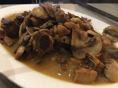 蘑菇炒鸡块-队长面馆 La Pasteria del Capitano