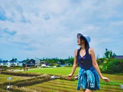 -成都安仁福朋喜来登酒店