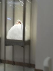 点击看大图 -钻石小鸟钻戒婚戒定制(石路店)