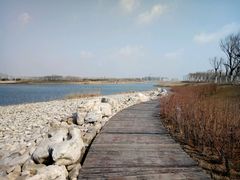 -天津东丽湖风景区