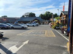 -醉香隆.山水庭院.湖北菜(东湖店)