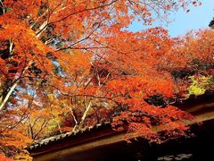 -有马温泉 竹取亭円山温泉旅馆