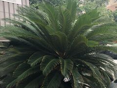 -中国建设银行·成都铁道支行