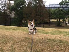 -上海滴水湖皇冠假日酒店