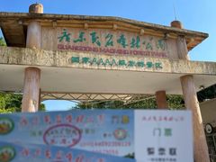 -广东茂名森林公园
