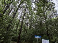 -同里国家湿地公园