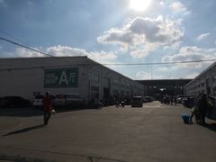 -龙大花卉苗木市场