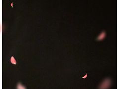 -音乐房子·Vintage Live Bar(玉林总店)