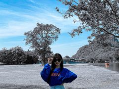 -南宁花花大世界景区