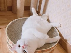 -不正咖啡(万达尊店)