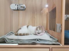 -美联众合动物医院(·中兽医·疑难杂症·严家桥分院)