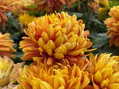 -共青国家森林公园-售票处