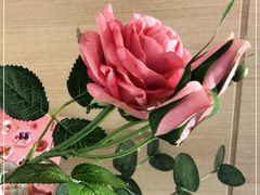 -哈根达斯(SM店)