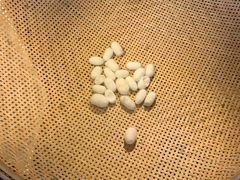 -盡膳口福跷脚牛肉火锅(合生汇购物中心店)