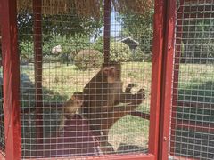 -武汉紫薇都市田园