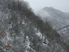 -秦岭风景区