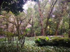 -四川大学(望江校区)