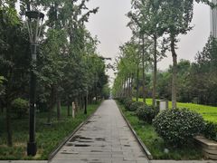 -唐城墙遗址公园