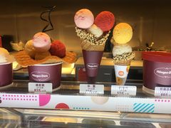 -哈根达斯(龙湖时代天街店)