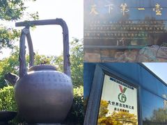 -天目湖山水园