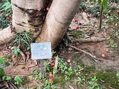 -广州神农草堂中医药博物馆