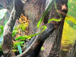 -酷嗒动物文化乐园(cutezoo西溪乐天城店)