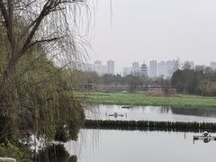 -洋湖国家湿地公园