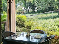 -野蔓果·山野菜(西湖景区·龙井茶田店)