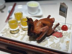 -大鸽饭(动物园店)