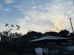 -三圣花乡旅游区