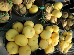 -漩门湾国家湿地公园