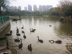 -南昌动物园