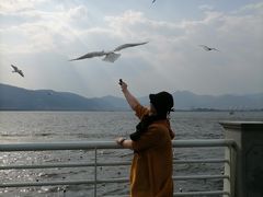 -滇池海埂公园