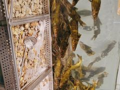 -金滏山烤肉·海鲜·火锅自助餐厅(襄阳万达店)