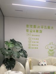 -凡碧诗毛孔清洁收细