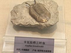 -国家自然博物馆