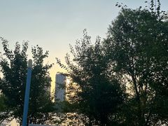 -长白岛森林公园