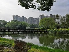 -新江湾城公园