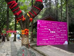 -蝴蝶泉公园