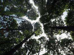 -同里国家湿地公园