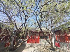 -北京鲁迅博物馆(北京新文化运动纪念馆鲁博馆区)