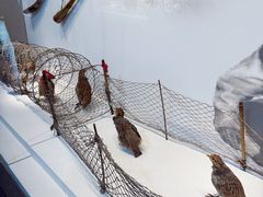 -呼伦贝尔民族博物馆