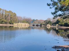 -长广溪湿地公园