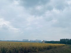 -郑和公园
